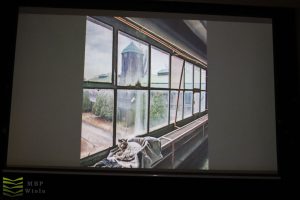 Zdjęcie wnętrza, kot na parapecie